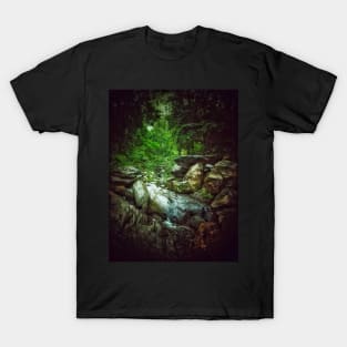 Central Park Rocks Stream Manhattan NYC T-Shirt